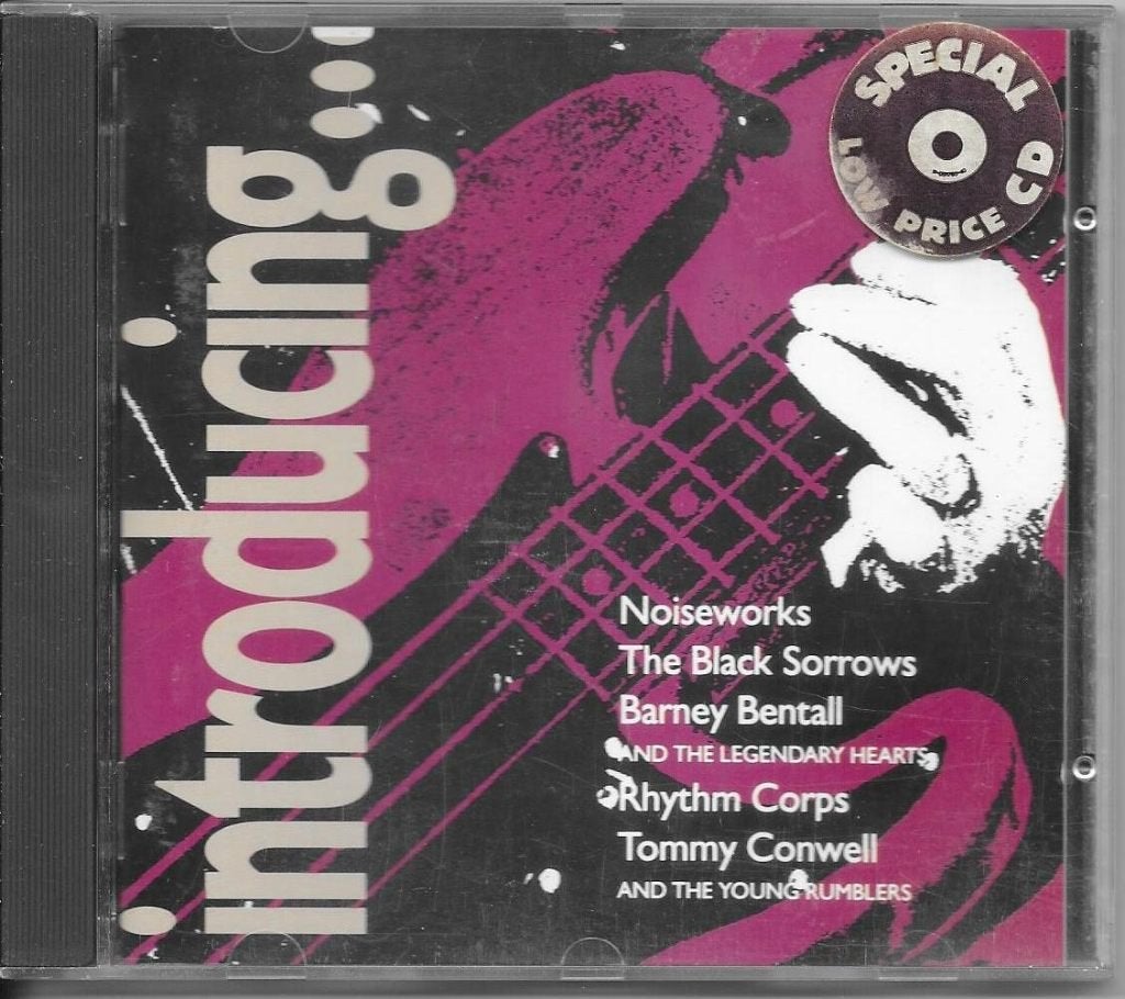 CD Introducing ..., Ophalen of Verzenden, Gebruikt, Poprock