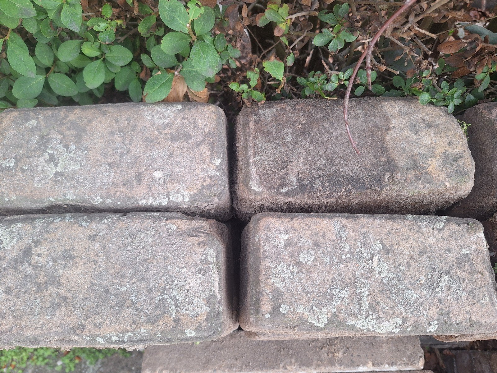 Robuuste/grove klinkers, circa 70 stuks, Gebruikt, Klinkers, Ophalen of Verzenden, Minder dan 5 m²