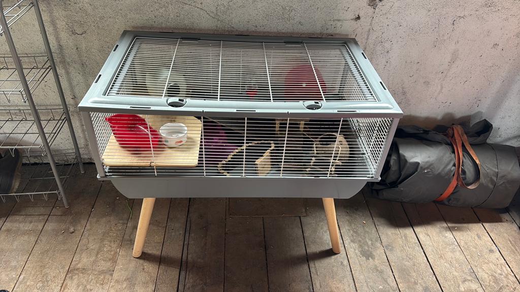 Hamsterkooi, Ophalen