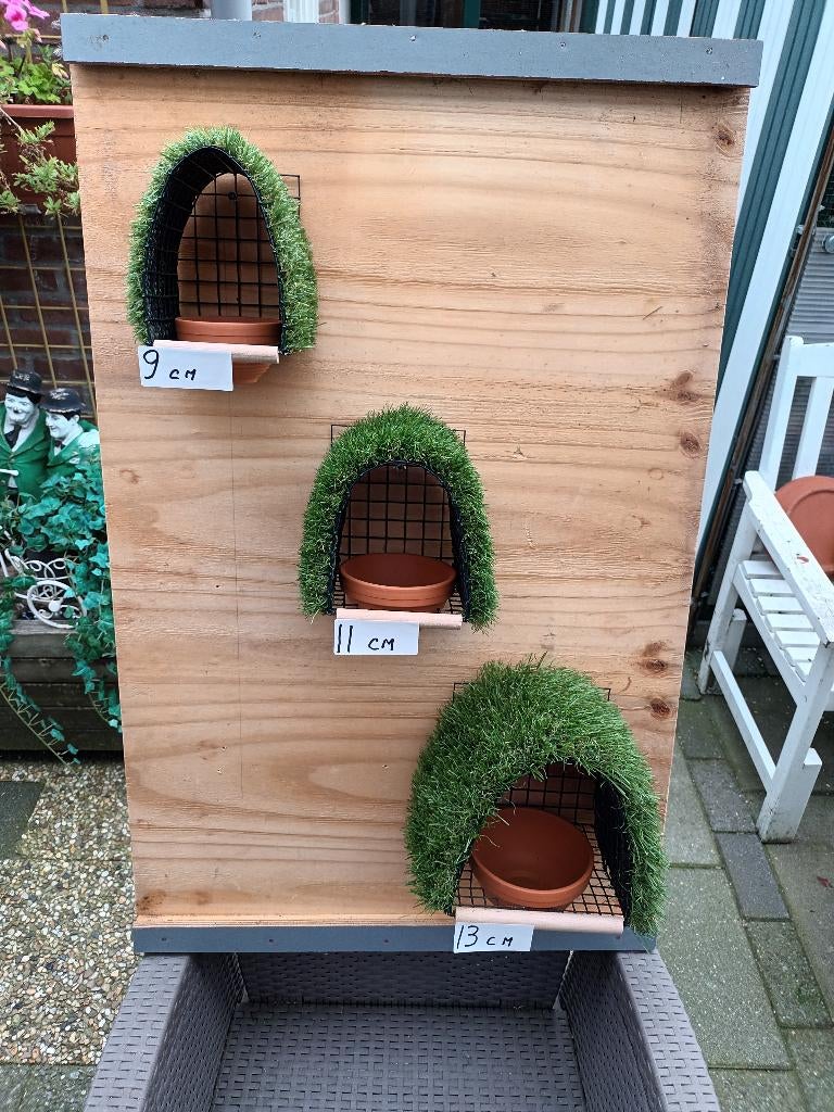 Nestkastjes, Dieren en Toebehoren, Vogels | Overige Vogels, Meerdere dieren, Wildzangvogel