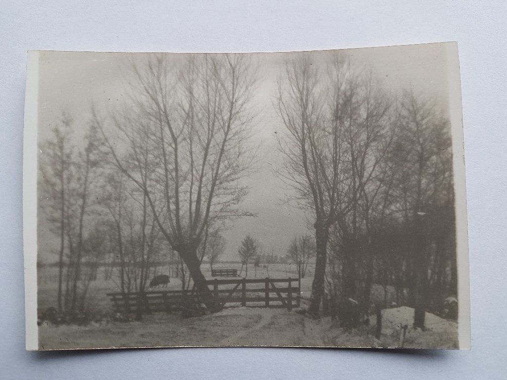 Foto doorkijkje Voorstraat oud Zwaagwesteinde, Ophalen of Verzenden, Voor 1940, Zo goed als nieuw