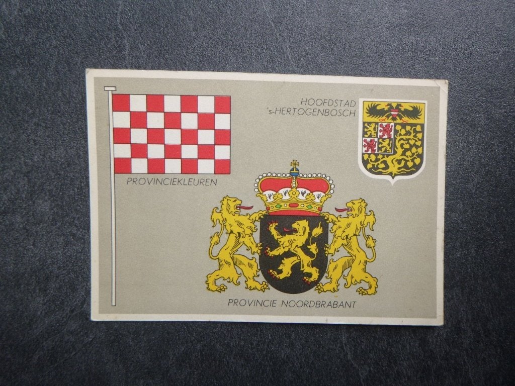 's Hertogenbosch hoofdstad provincie kleuren, waen en vlag, Verzamelen, Ansichtkaarten | Nederland, Verzenden, 1980 tot heden