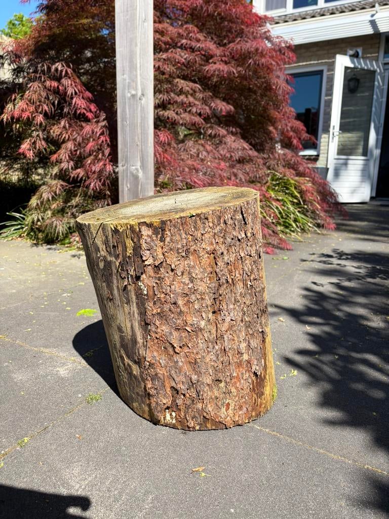Boomstam decoratief of als bijzettafel, Ophalen, Gebruikt