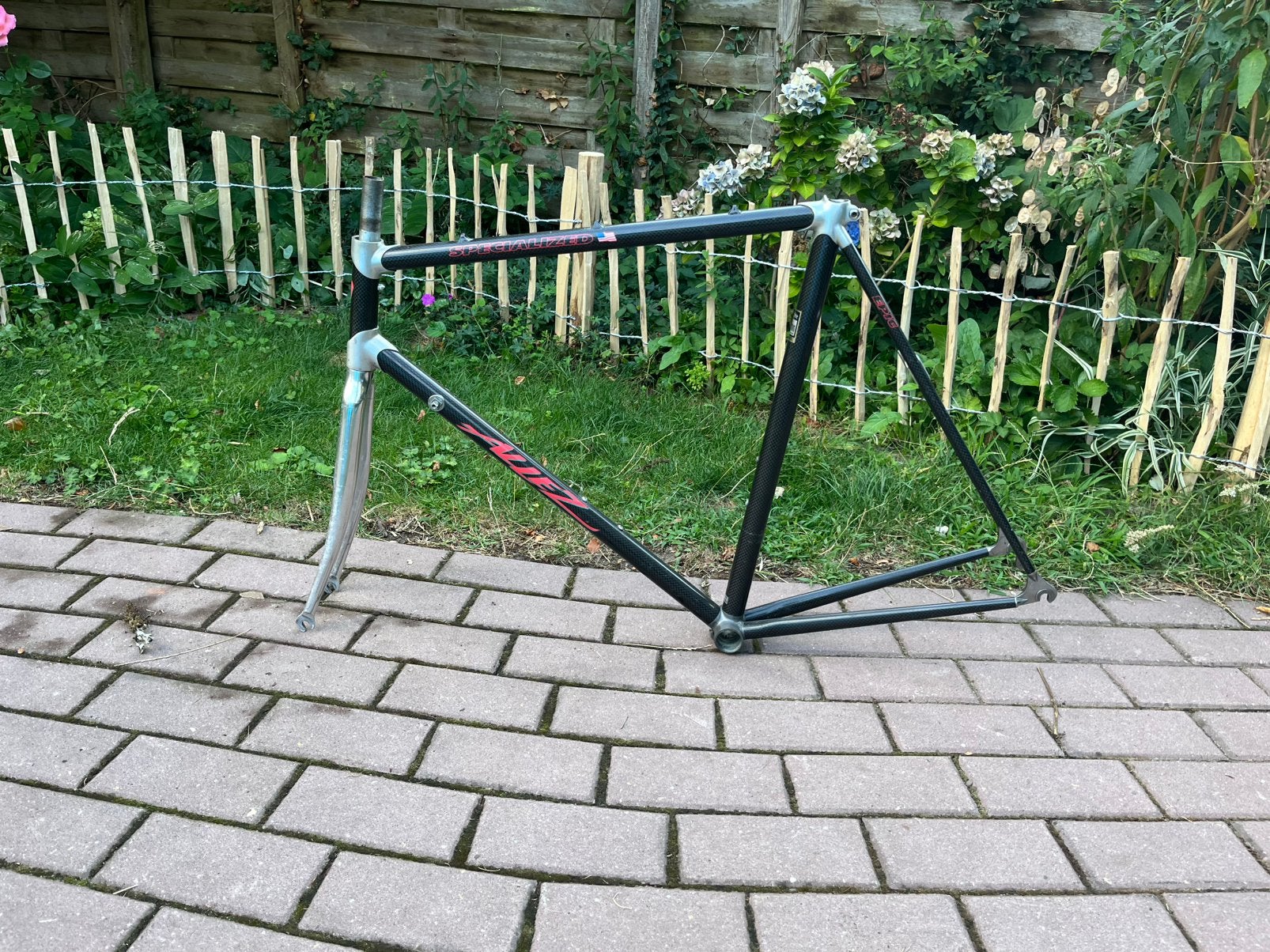 Specialized Allez Epic, Ophalen of Verzenden, Zo goed als nieuw, Carbon