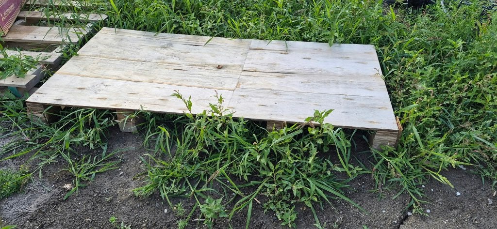 Gratis Pallets ophalen waddinxveen, Ophalen, Zo goed als nieuw, Pallet, Minder dan 200 cm