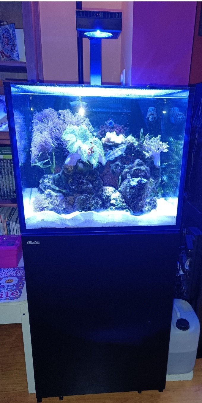 Compleet Zeewateraquarium Red sea REEFER 170 G2+ Deluxe Syst, Dieren en Toebehoren, Vissen | Aquaria en Toebehoren, Ophalen, Red Sea