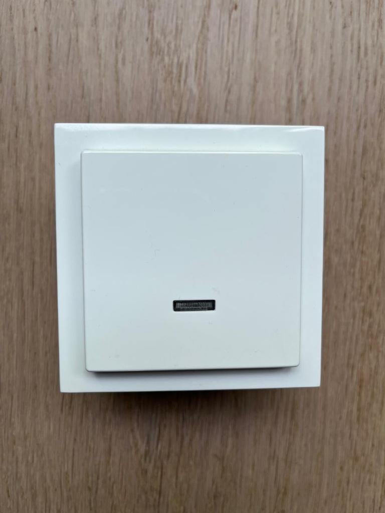 Complete tipdimmer Busch-Jaeger, Doe-het-zelf en Verbouw, Elektra en Kabels, Gebruikt, Schakelaar, Ophalen