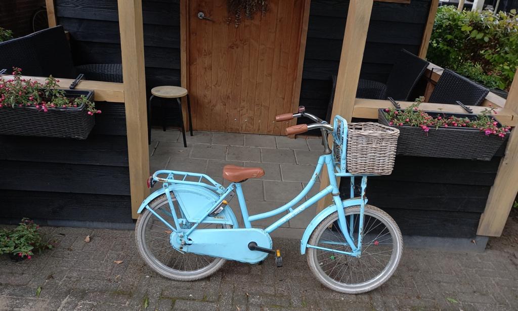 Meisjesfiets 20 inch, Fietsen en Brommers, Ophalen, Gebruikt, 20 inch of meer