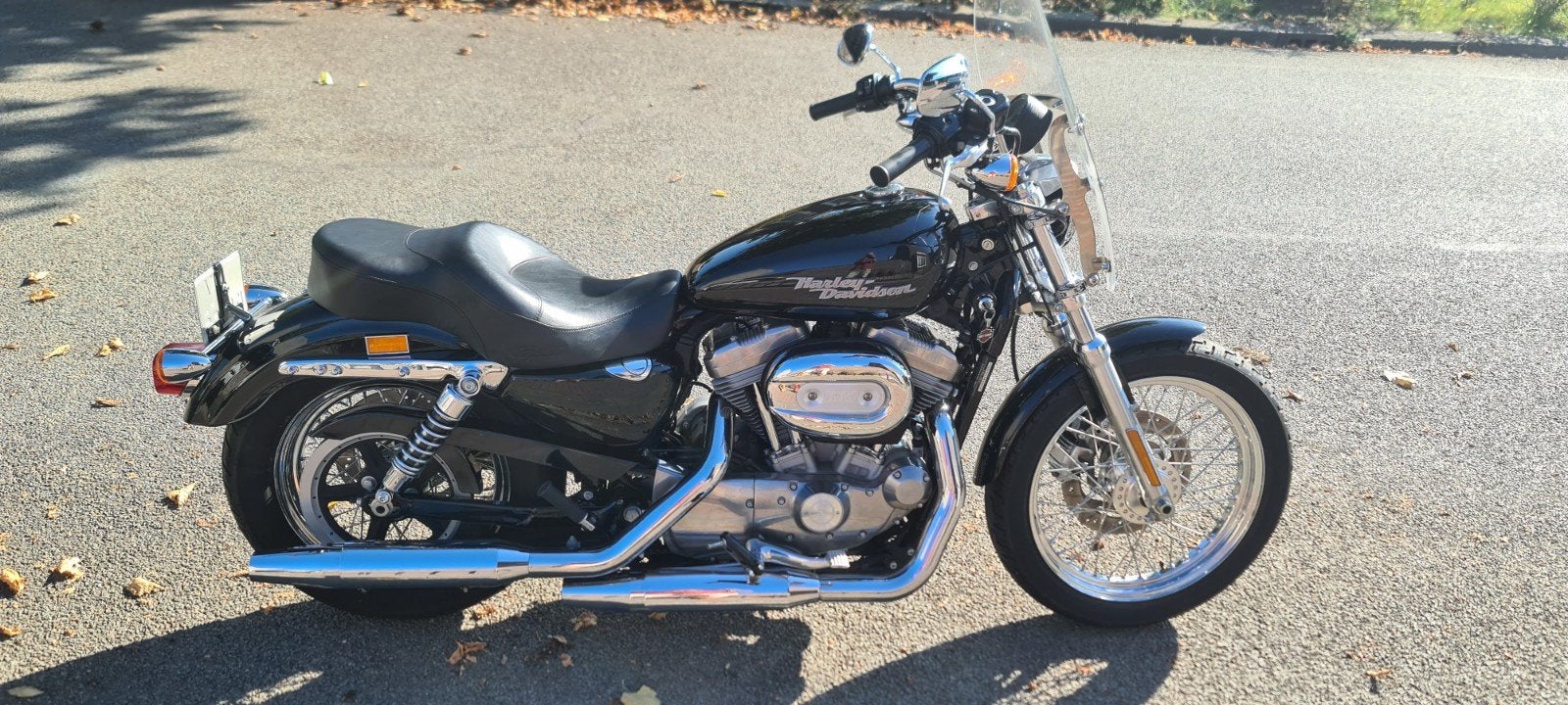 Zeer nette Harley-davidson Sportster 883, 2 cilinders, Occasion, Chopper, 883 cc