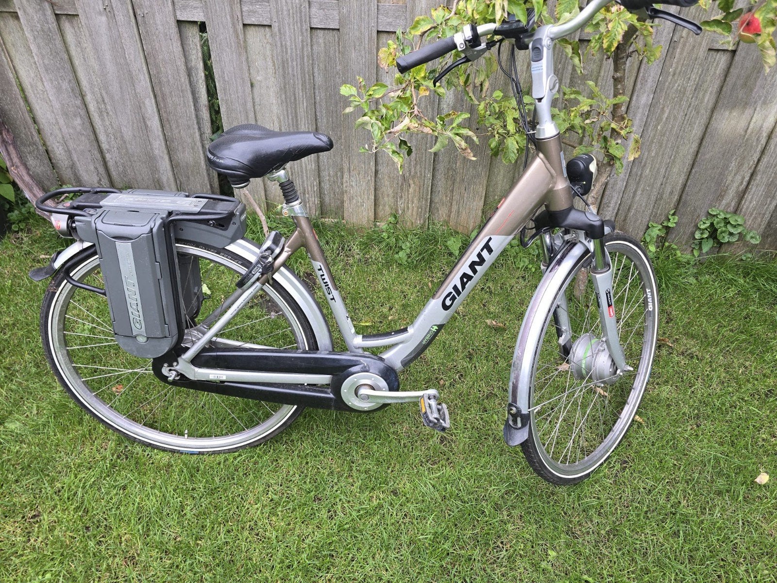 Giant elektrische fiets, Minder dan 30 km per accu, Gebruikt, 55 tot 59 cm, Giant