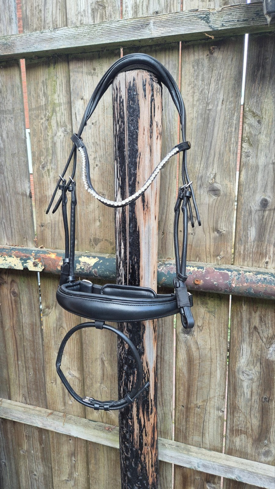 Premiera hoofdstel maat Full ZGAN, Dieren en Toebehoren, Paarden en Pony's | Hoofdstellen en Tuigage, Ophalen