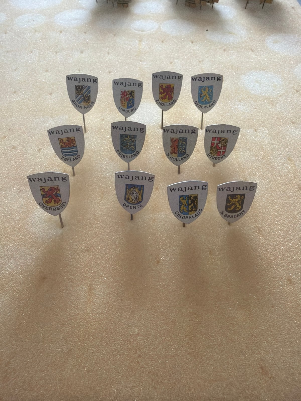 Wajang Speldjes Provincies Nederland - Complete Set, Ophalen of Verzenden, Zo goed als nieuw
