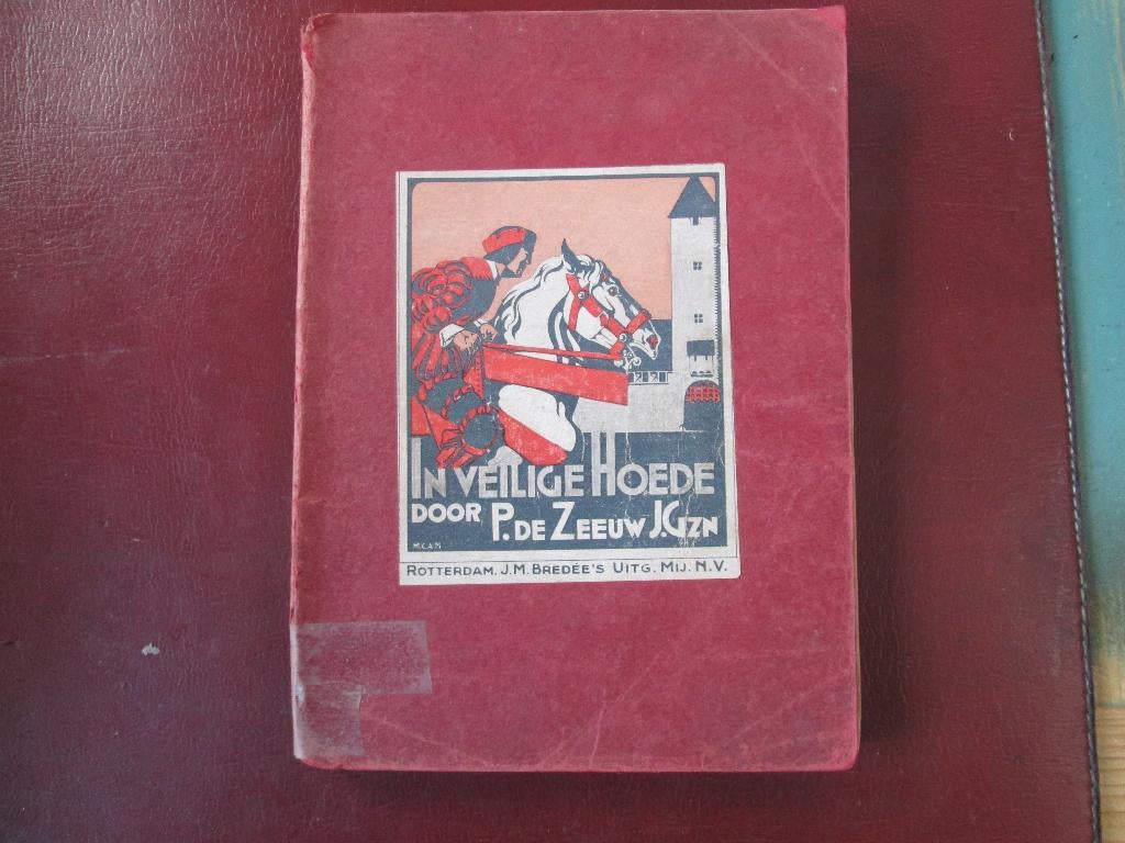 P. de Zeeuw, In Veilige Hoede, Boeken, Kinderboeken | Jeugd | 10 tot 12 jaar, Ophalen of Verzenden, Gelezen, Fictie