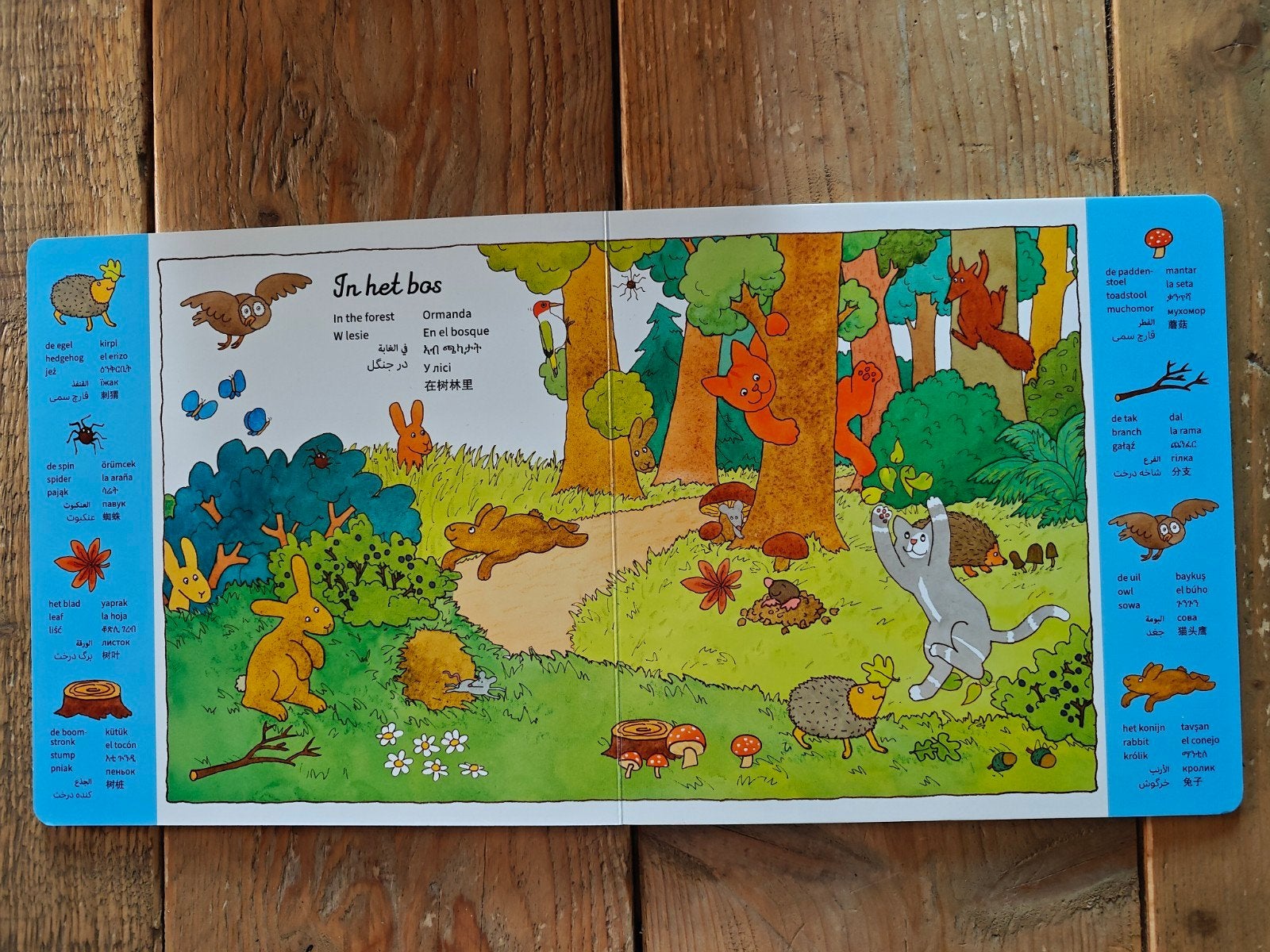 Dikkie Dik, zoekboek in 10 talen., Ophalen of Verzenden, Gelezen
