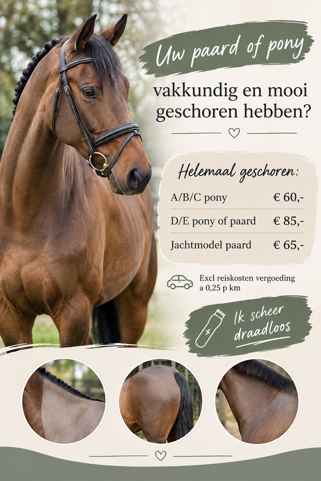 Uw paard of pony vakkundig geschoren hebben?, Heiniger, Ophalen, Nieuw, Scheerapparatuur