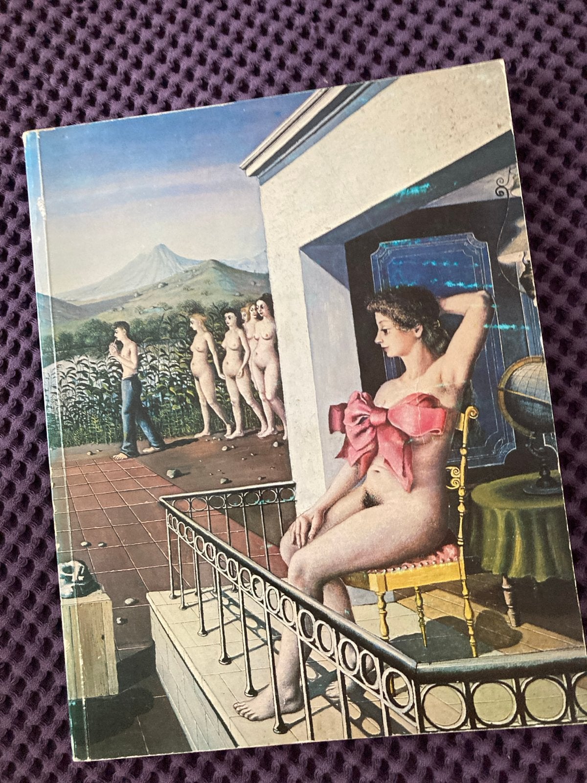 Paul Delvaux Kunstboek - Surrealistische Meesterwerken, Boeken, Ophalen of Verzenden, Zo goed als nieuw, Schilder- en Tekenkunst