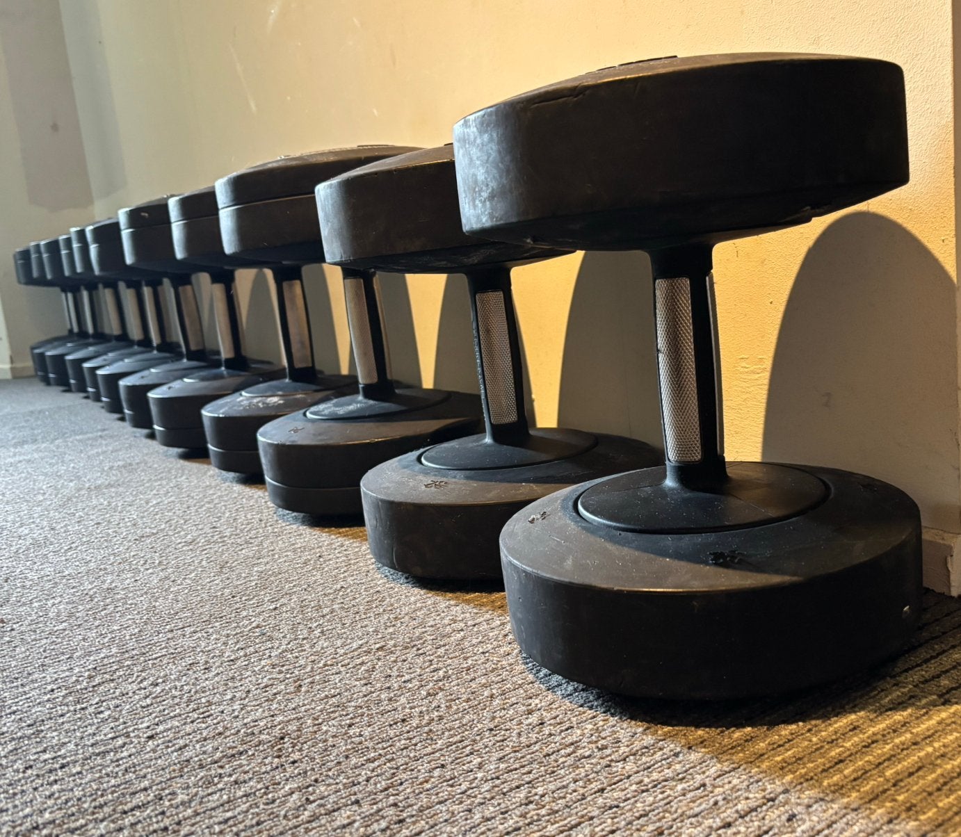 Technogym 32kg t/m 42kg dumbbells, Sport en Fitness, Ophalen, Gebruikt, Dumbbell