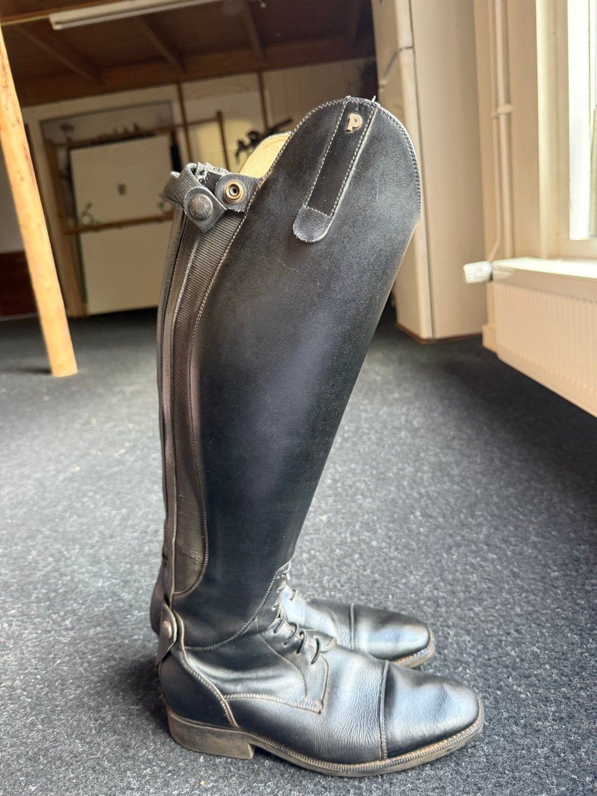 Petrie rijlaarzen 40, Ophalen of Verzenden, Gebruikt, Dressuur, Schoeisel
