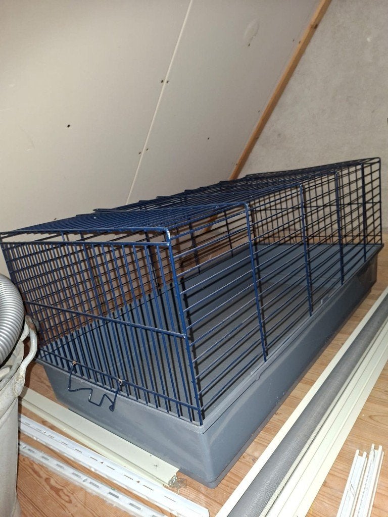 Cavia of konijnenren, Dieren en Toebehoren, Knaagdieren en Konijnen | Hokken en Kooien, Zo goed als nieuw, Ren, Fret, 75 tot 110 cm