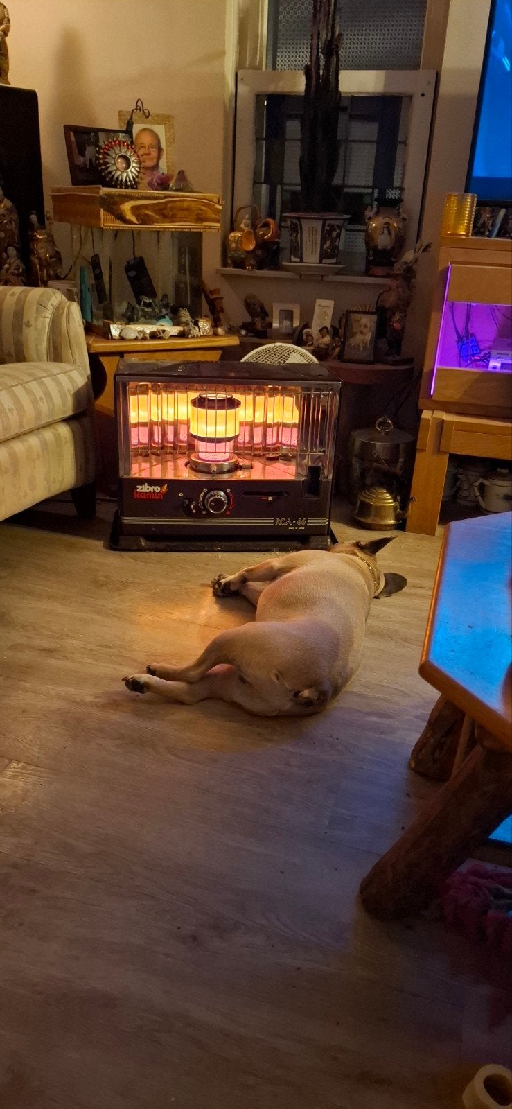 Zibro Kamin RCA-66 Petroleumkachel - Goede Staat, Huis en Inrichting, Kachels, Ophalen, Gebruikt, Overige brandstoffen, Petroleumkachel
