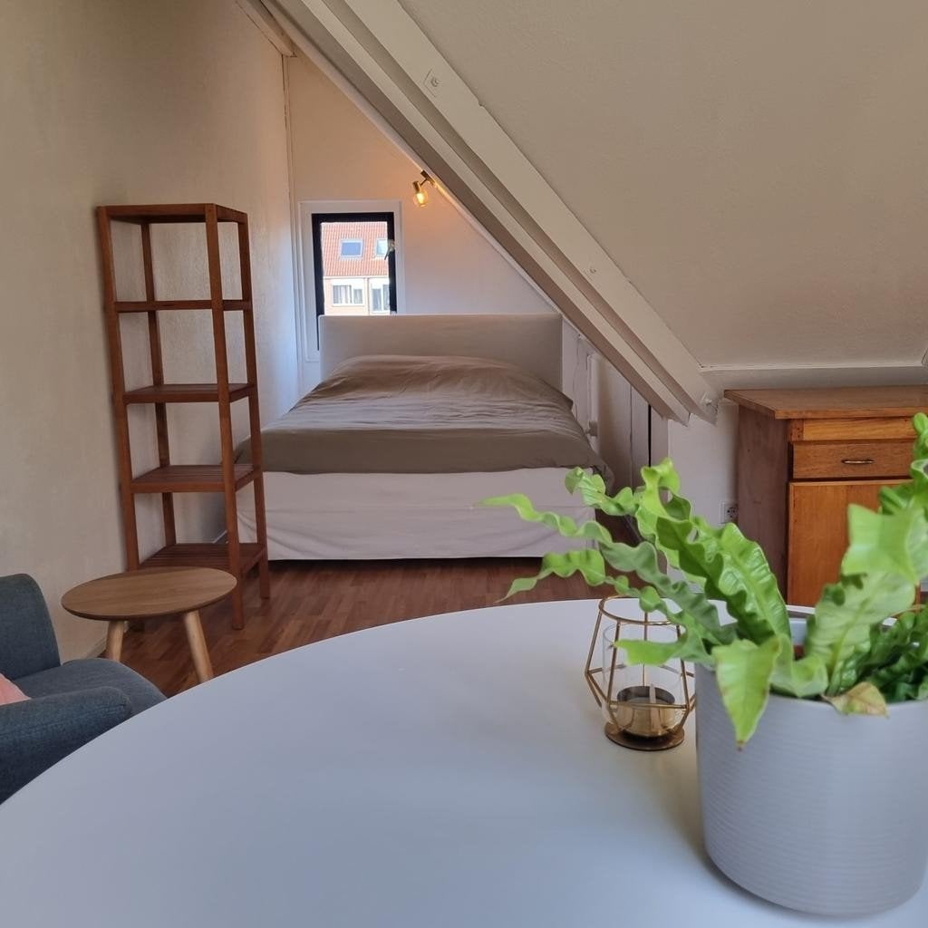 Kamer met keuken voor 2p tijdens vierdaagse, Huizen en Kamers, Kamers te huur