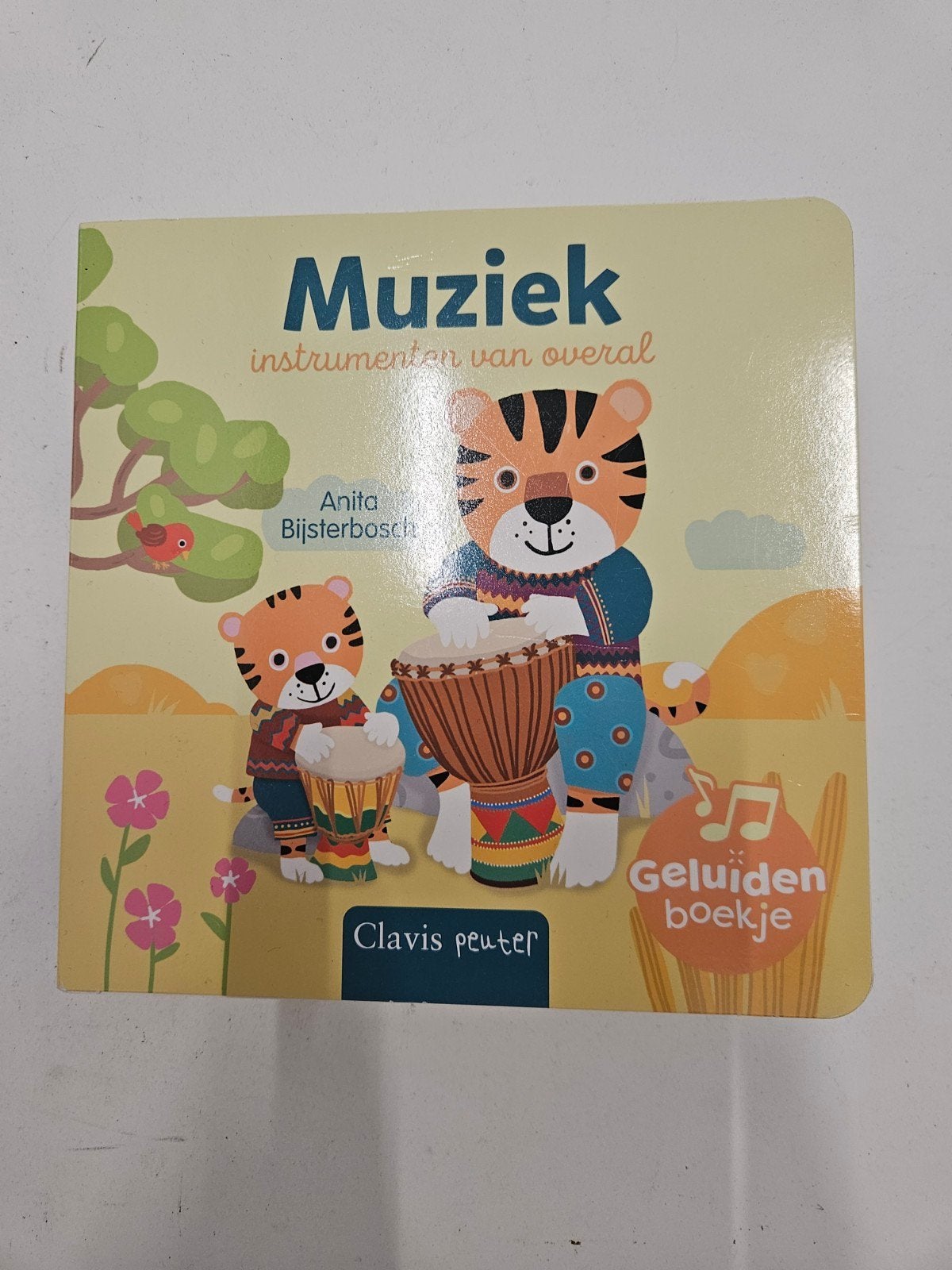 Anita Bijsterbosch - Muziekinstrumenten van overal, Ophalen of Verzenden, Zo goed als nieuw, Anita Bijsterbosch