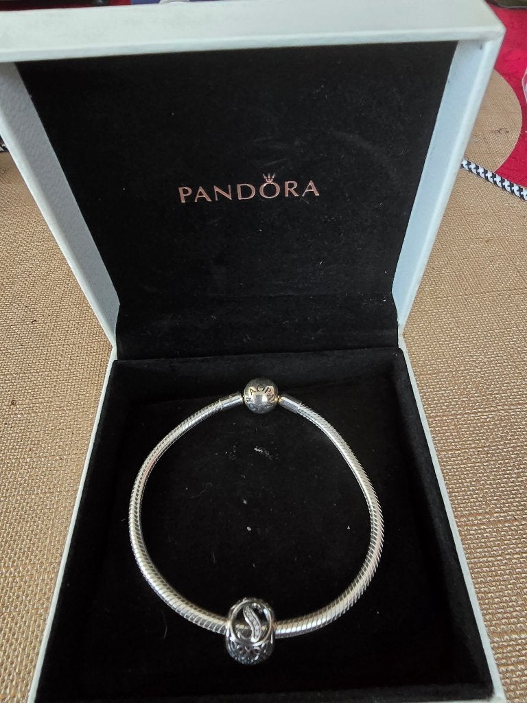 Pandora armband, Staal, Ophalen of Verzenden, Zo goed als nieuw, Met bedels of kralen