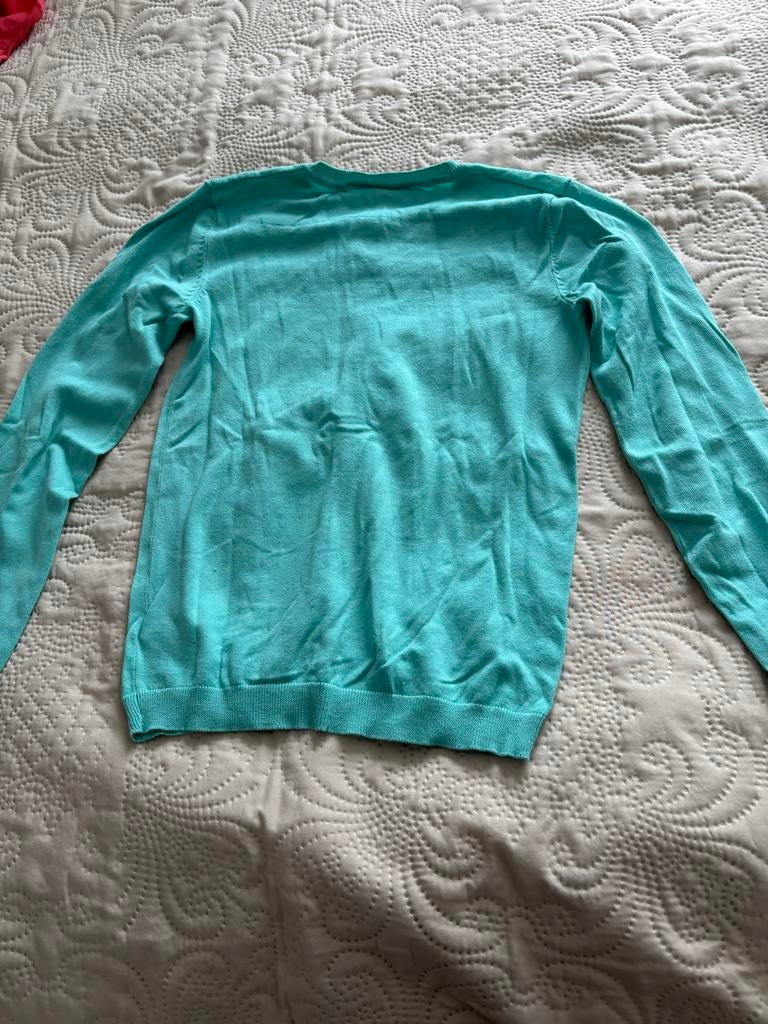 Mooie truien van HEMA maat 158/164, Ophalen, Gebruikt, Meisje, Trui of Vest