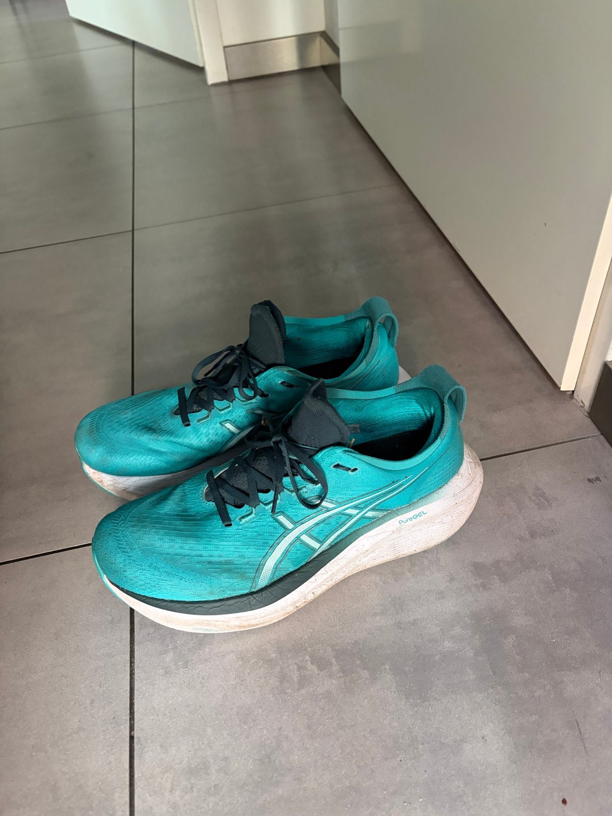 Asics Gel-Nimbus 26 Hardloopschoenen - Maat 46, Sport en Fitness, Gebruikt, Hardloopschoenen, Ophalen of Verzenden, Hardlopen
