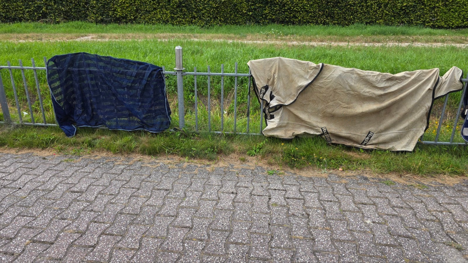 Diverse zomerdekens D/E pony, Ophalen of Verzenden, Gebruikt