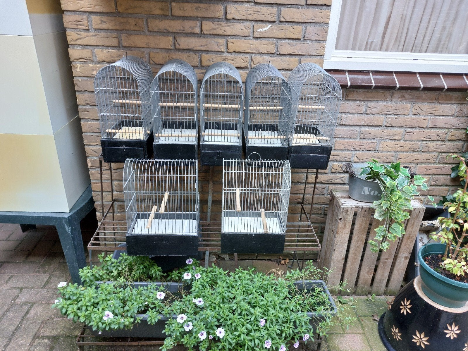 10 koepel kooien, Ophalen of Verzenden
