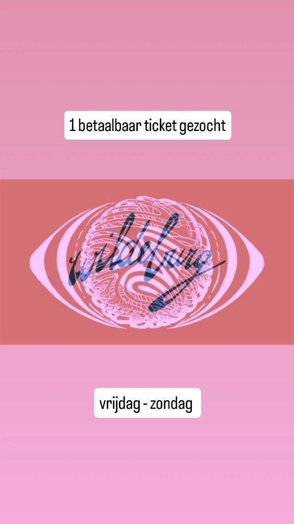 Wildeburg weekender gezocht - betaalbaar, Tickets en Kaartjes, Eén persoon