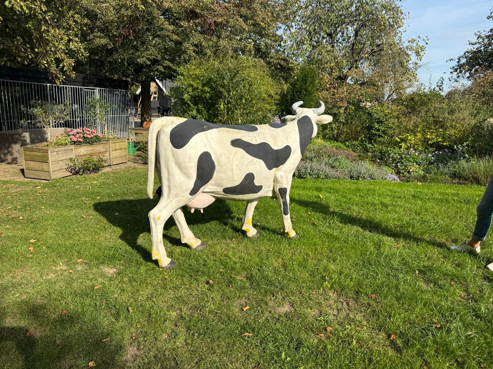 Kunst Koeien vbv tuindecoratie, Ophalen of Verzenden