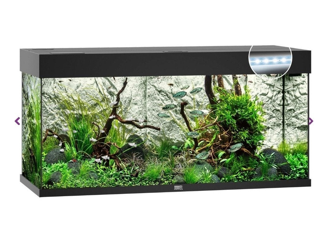 AQUARIUM  JUWEL, Ophalen of Verzenden