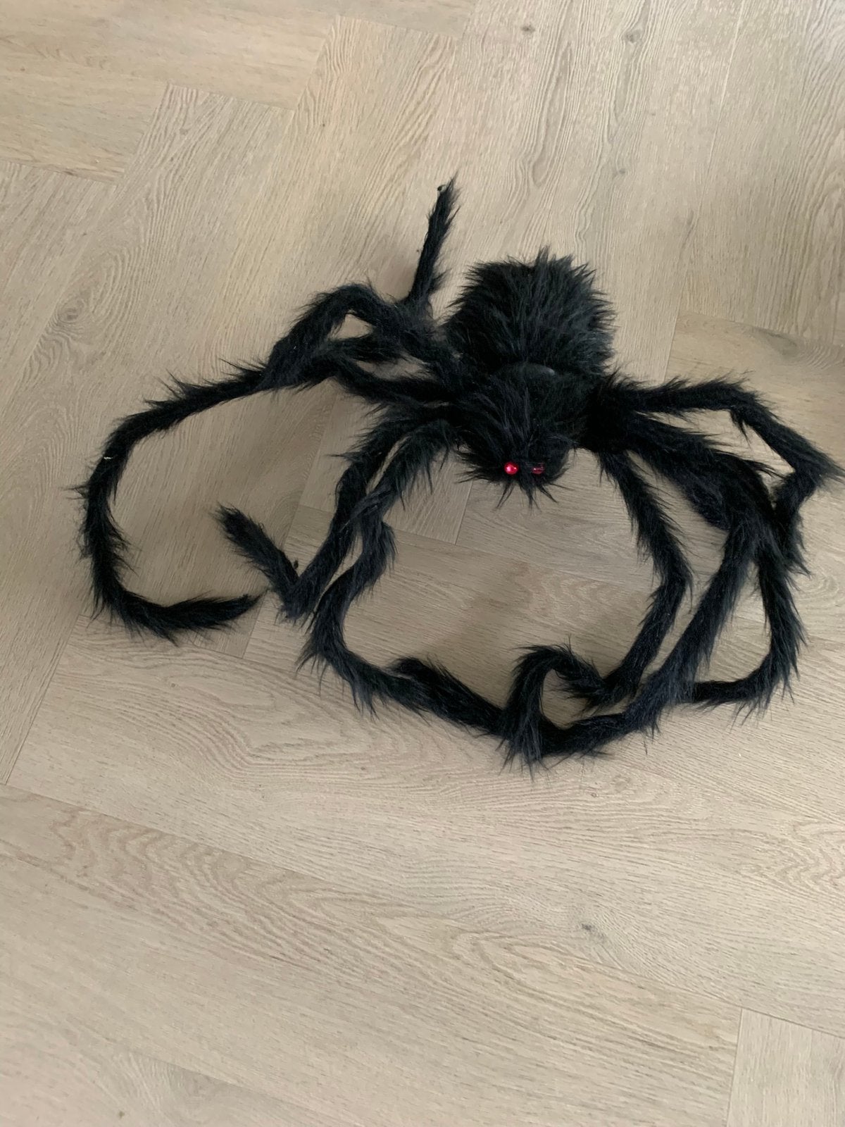 Diverse Halloween producten, Ophalen, Halloween of Griezel