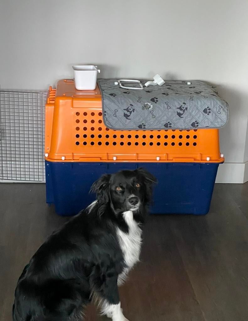 Dog Crate, Ophalen, Zo goed als nieuw