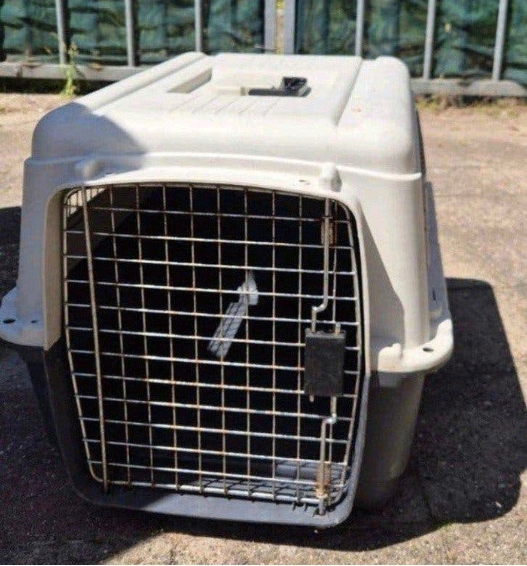 Flamingo Transportbox
L, Dieren en Toebehoren, Ophalen, Gebruikt