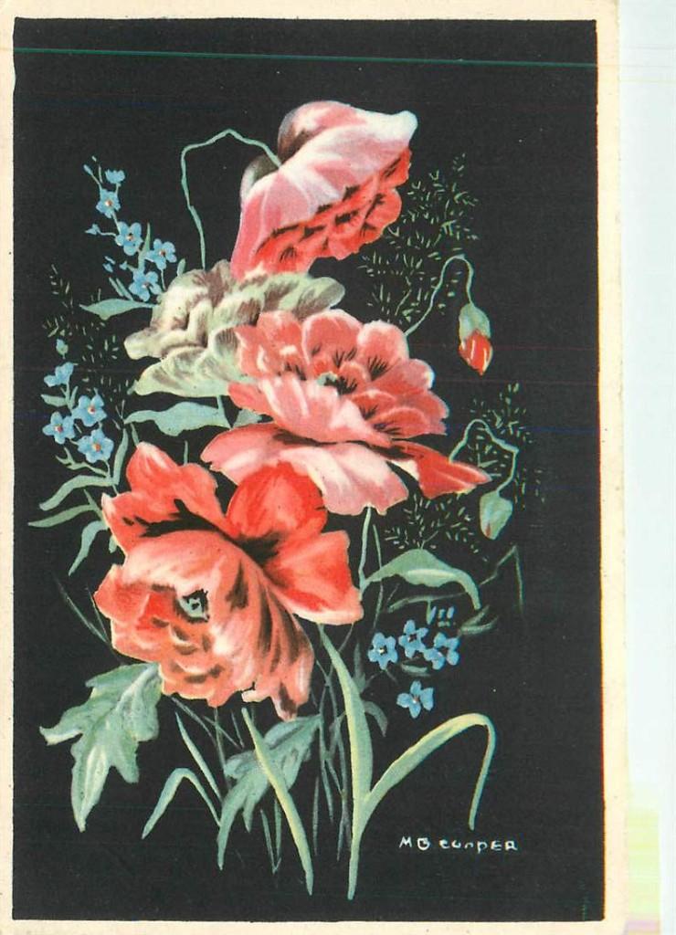 381-248-003 Bloemen, Verzenden, Voor 1920