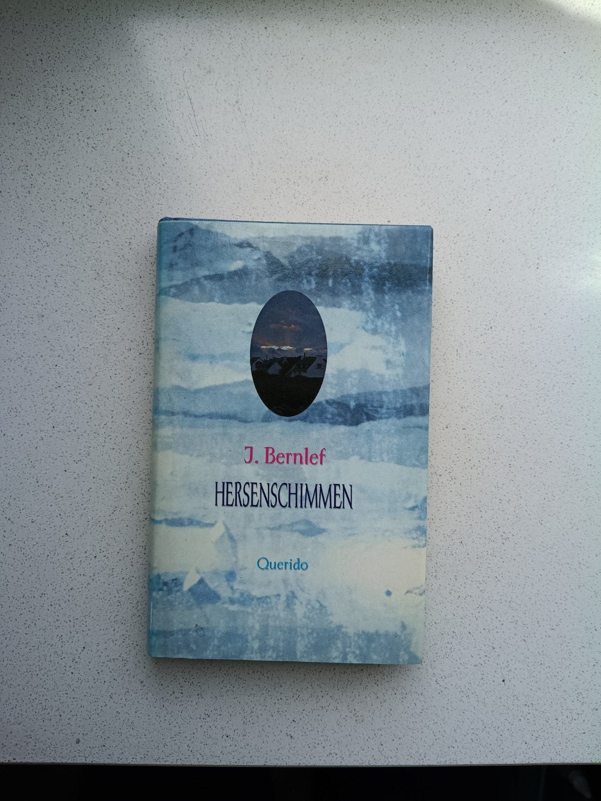 Hersenschimmen - J. Bernlef, Ophalen of Verzenden, Gelezen