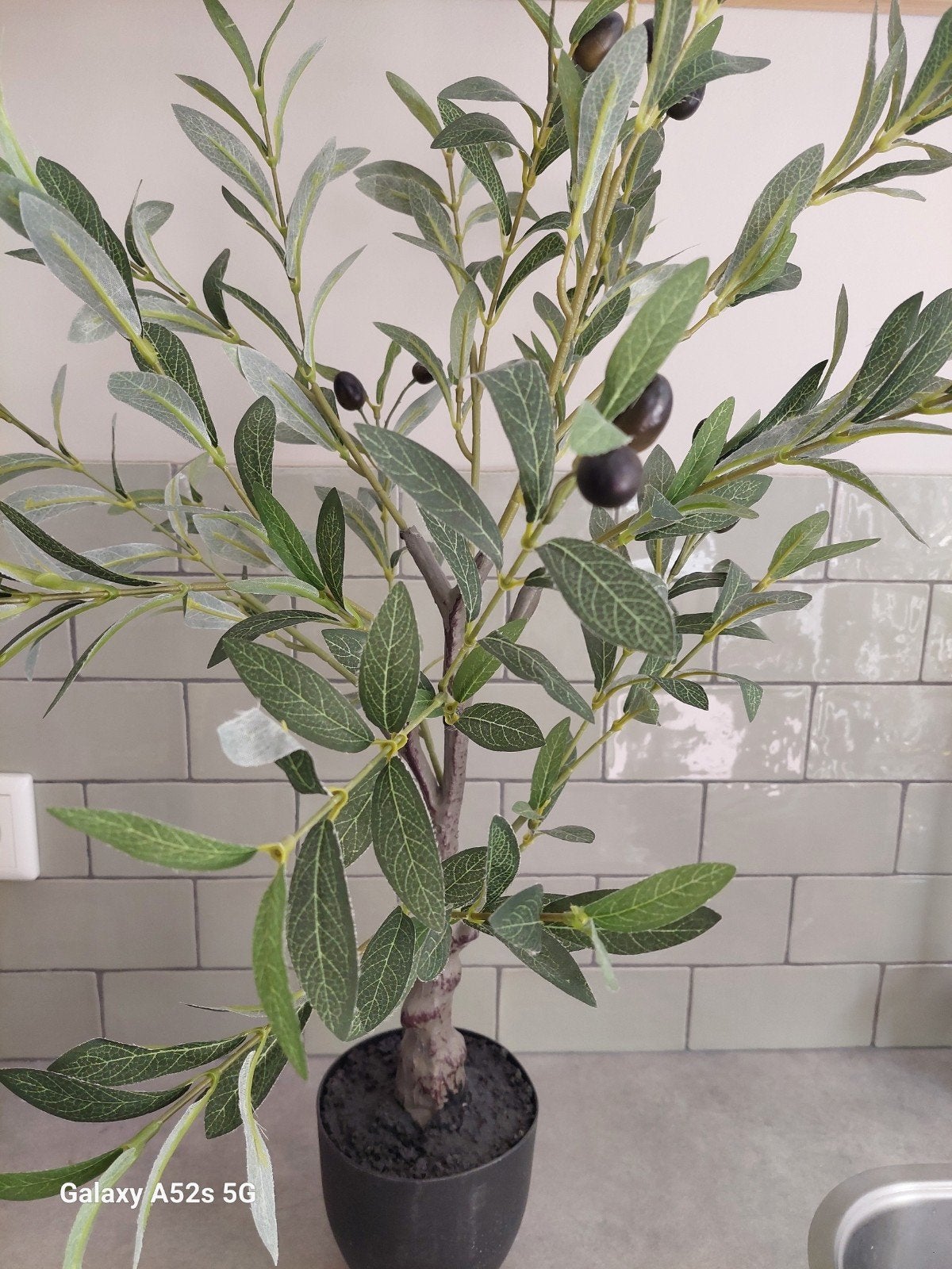 Kunst Olijfboom - 70 cm hoog, 48 cm breed, Ophalen, Binnen, Groen, Kunstplant