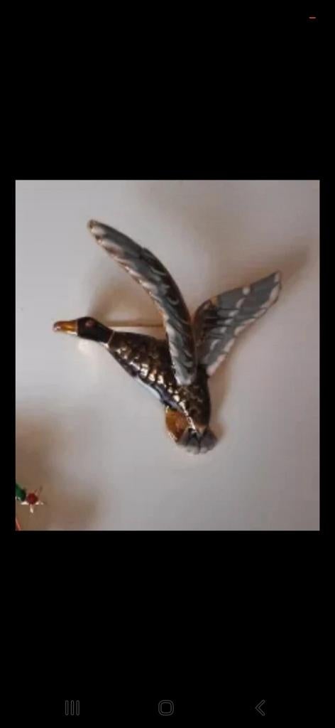 Nieuwe Broche  - Uniek Design, Ophalen, Overige materialen, 4 tot 7 cm, Overige kleuren