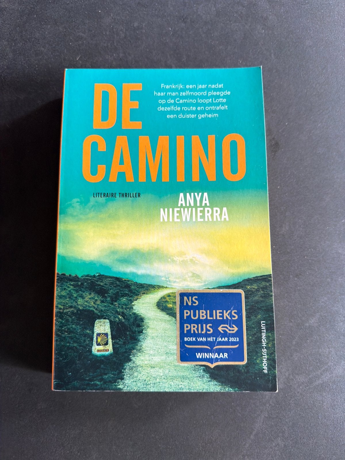 De Camino - Anya Niewierra (Gelezen), Boeken, Thrillers, Ophalen of Verzenden, Gelezen