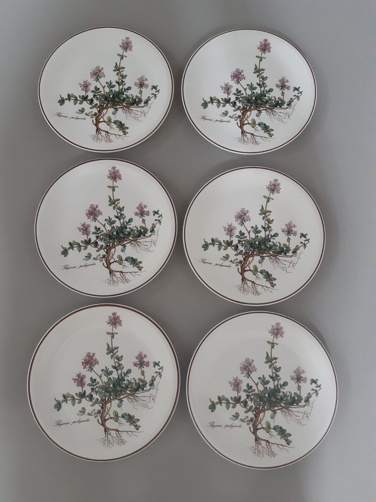 Ontbijtborden Villeroy en Boch Botanica, Ophalen of Verzenden, Zo goed als nieuw, Bord(en), Overige stijlen