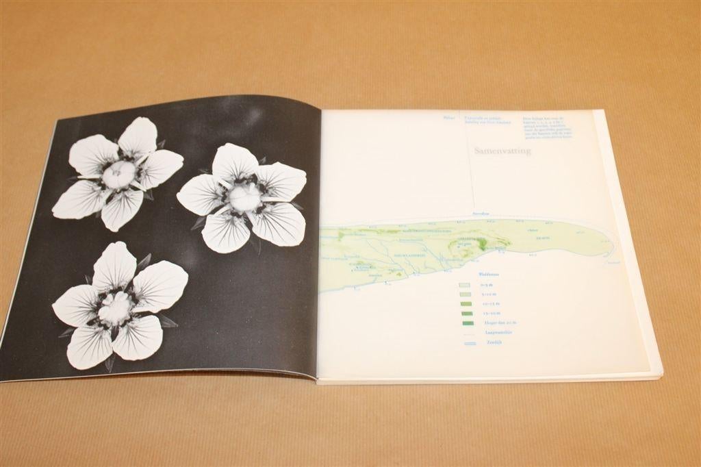 Oost-Ameland — Biologie, Behoud & Beheer, Waddenvereniging, Ophalen of Verzenden, Gelezen