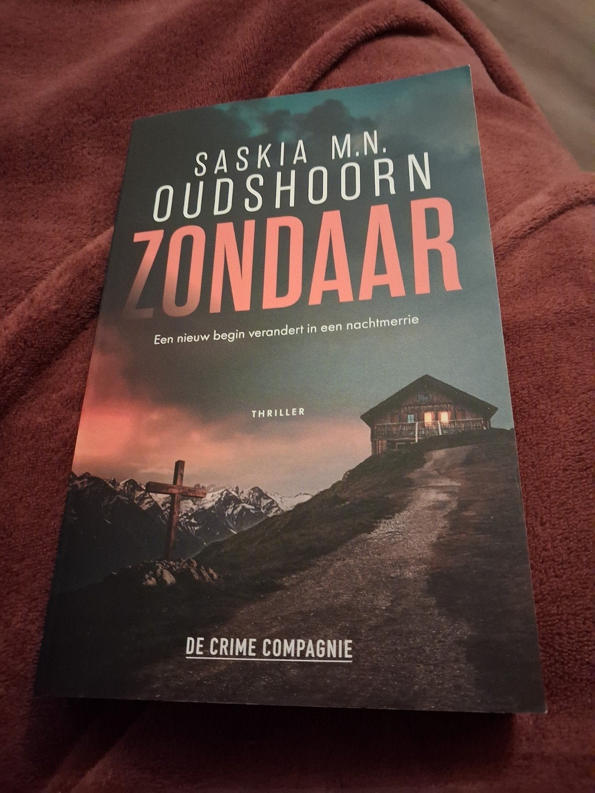 Saskia Oudshoorn - Zondaar - club, Ophalen of Verzenden, Zo goed als nieuw, Saskia Oudshoorn