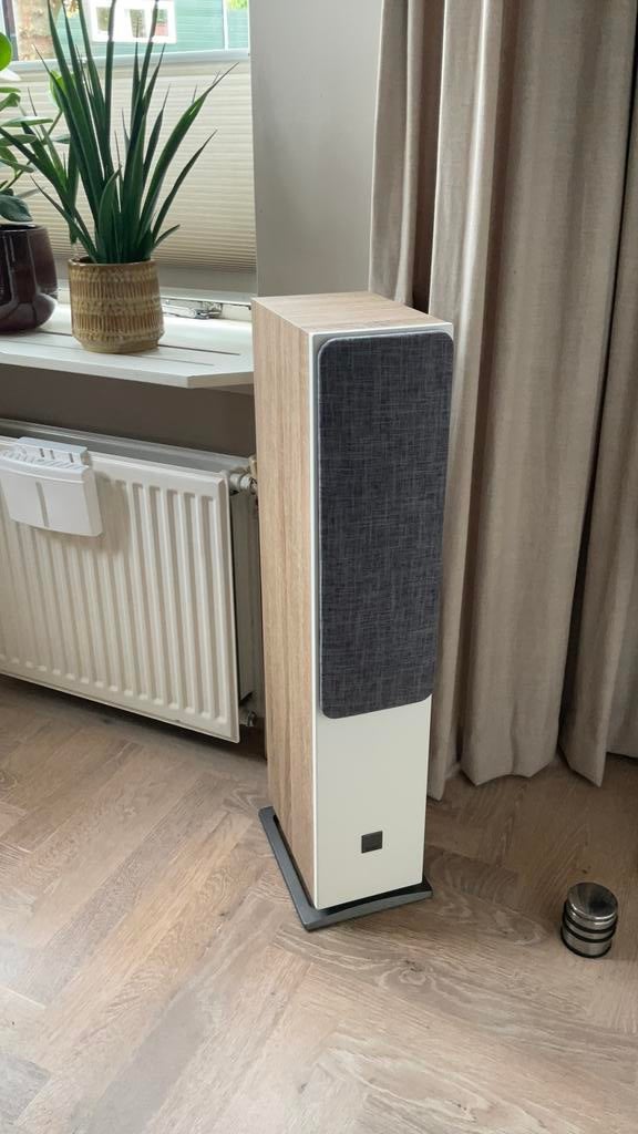 Dali oberon 5, Zo goed als nieuw, 120 watt of meer, Front, Rear of Stereo speakers, Ophalen