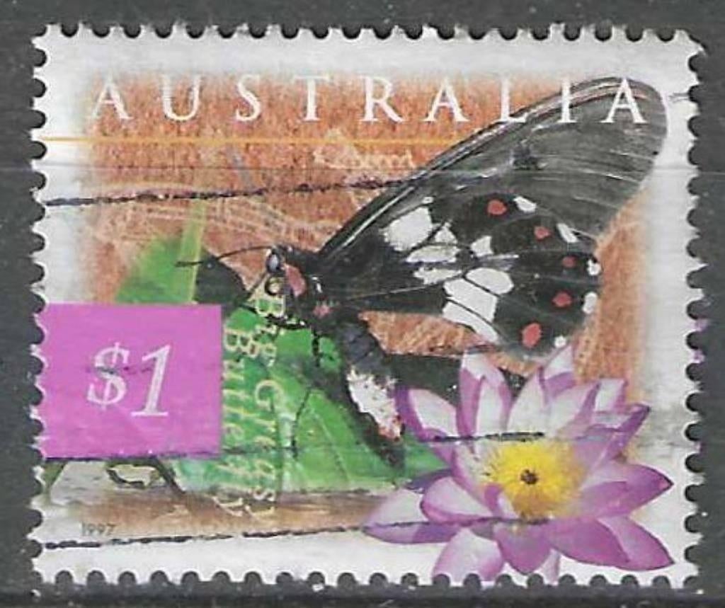 Australie 1997 - Yvert 1590 - Grote koninginnepage (ST), Postzegels en Munten, Postzegels | Oceanië, Gestempeld, Verzenden
