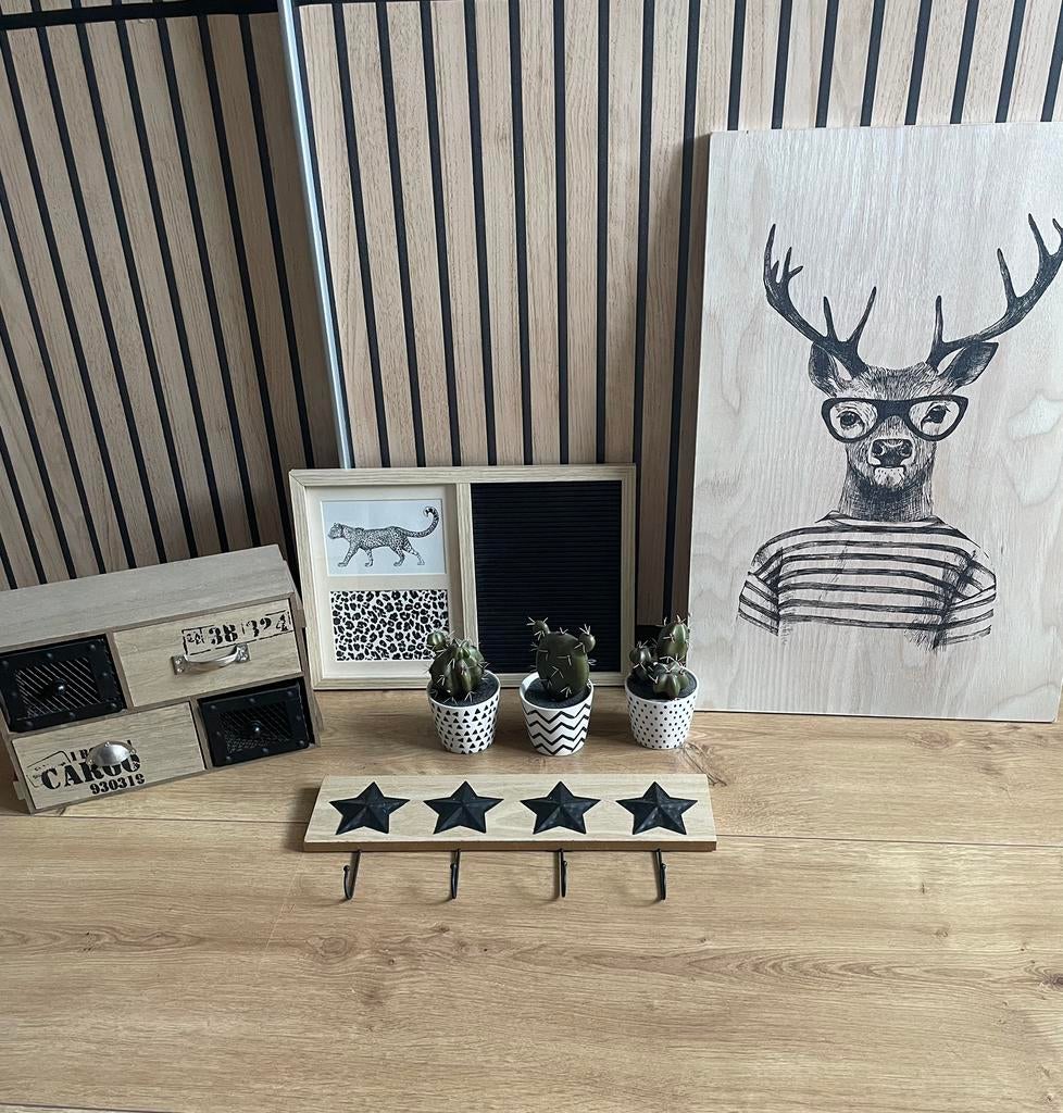 Woonaccessoires hout. Schilderij,plantjes,kapstok,minikastje, Ophalen, Zo goed als nieuw