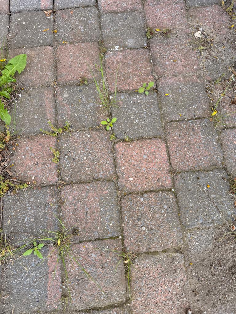 Gratis 14x14 cm vierkante klinkers - ca. 3,2m2, Ophalen, Gebruikt, Klinkers, Minder dan 5 m²