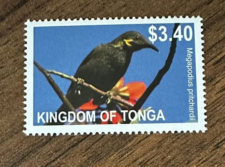 Tonga 2012 Vogels Postfris Postzegel - Megapodius pritchardi, Ophalen of Verzenden, Postfris